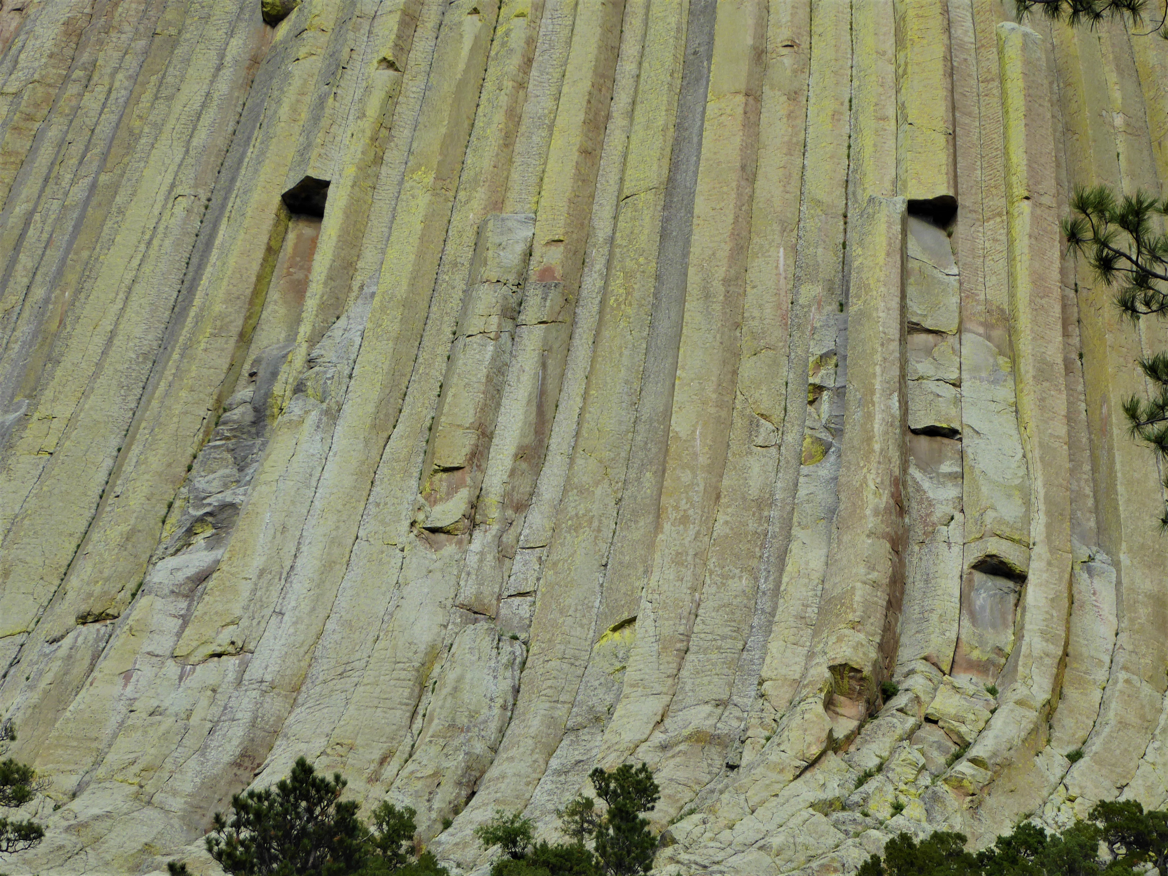 Columns at Devils Tower