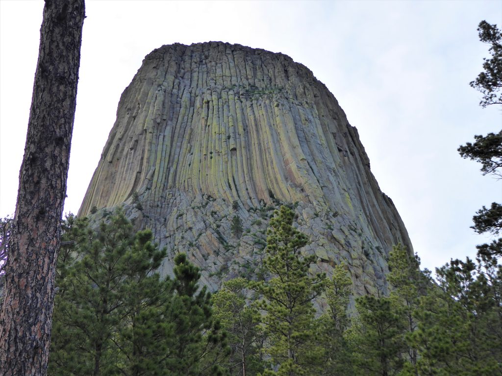 Devils Tower Trail View