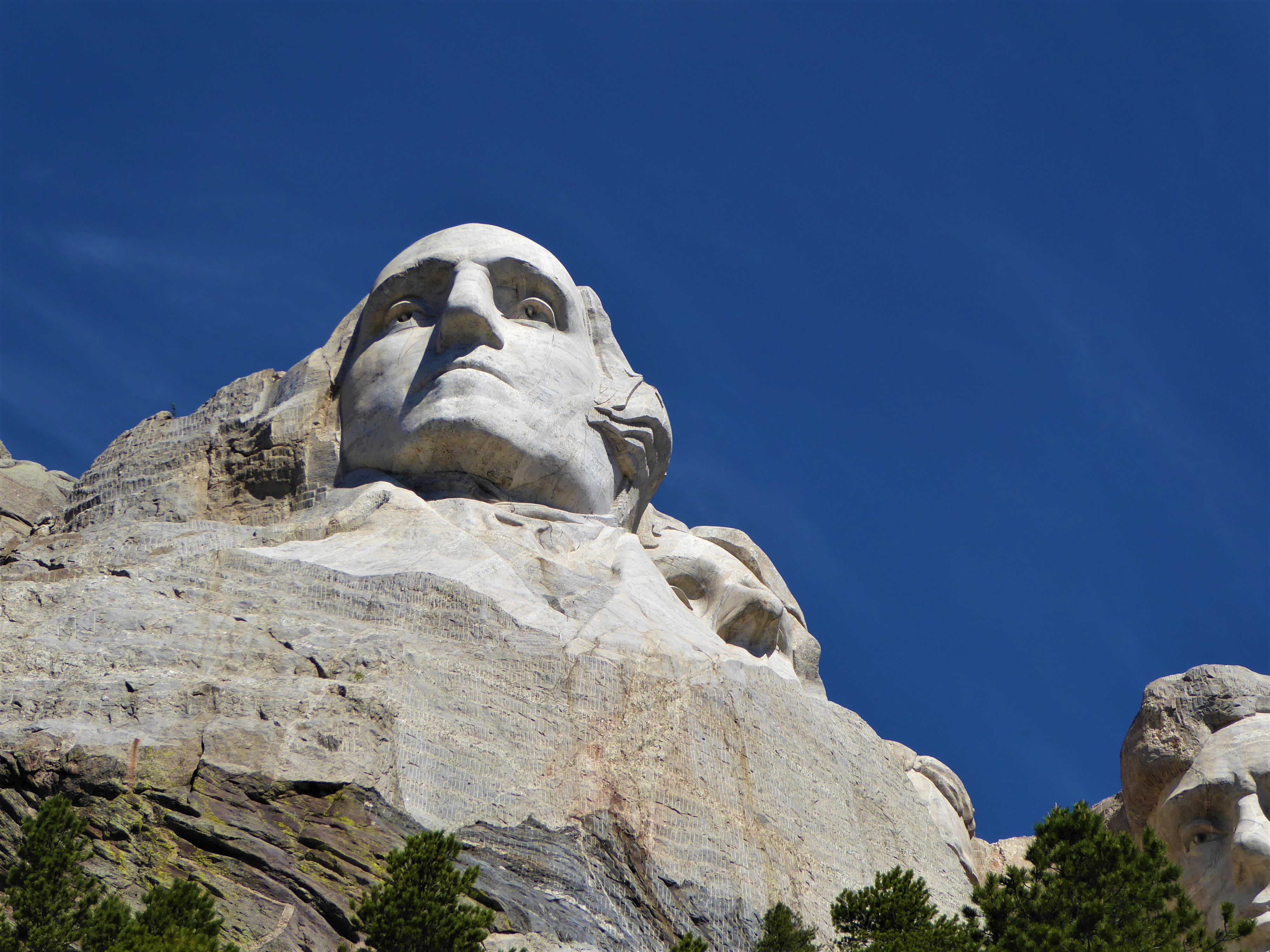 Looking up at Washington