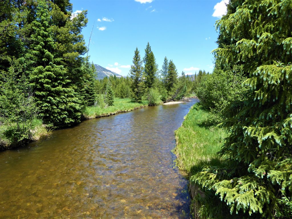 Colorado River RMNP