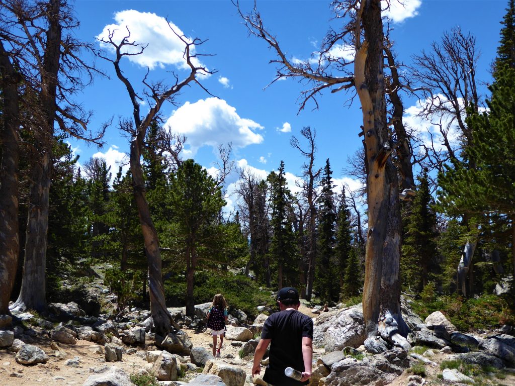 Hiking the St. Mary's Glacier Trail