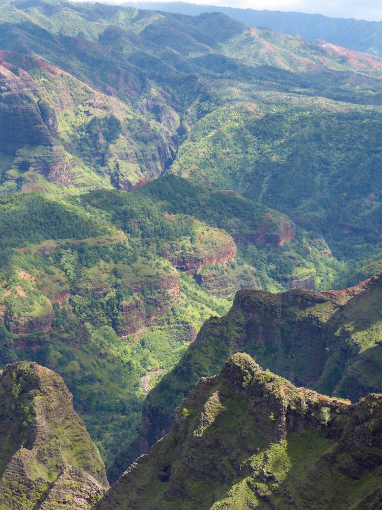 Waimea Canyon Family Activities on Kauai