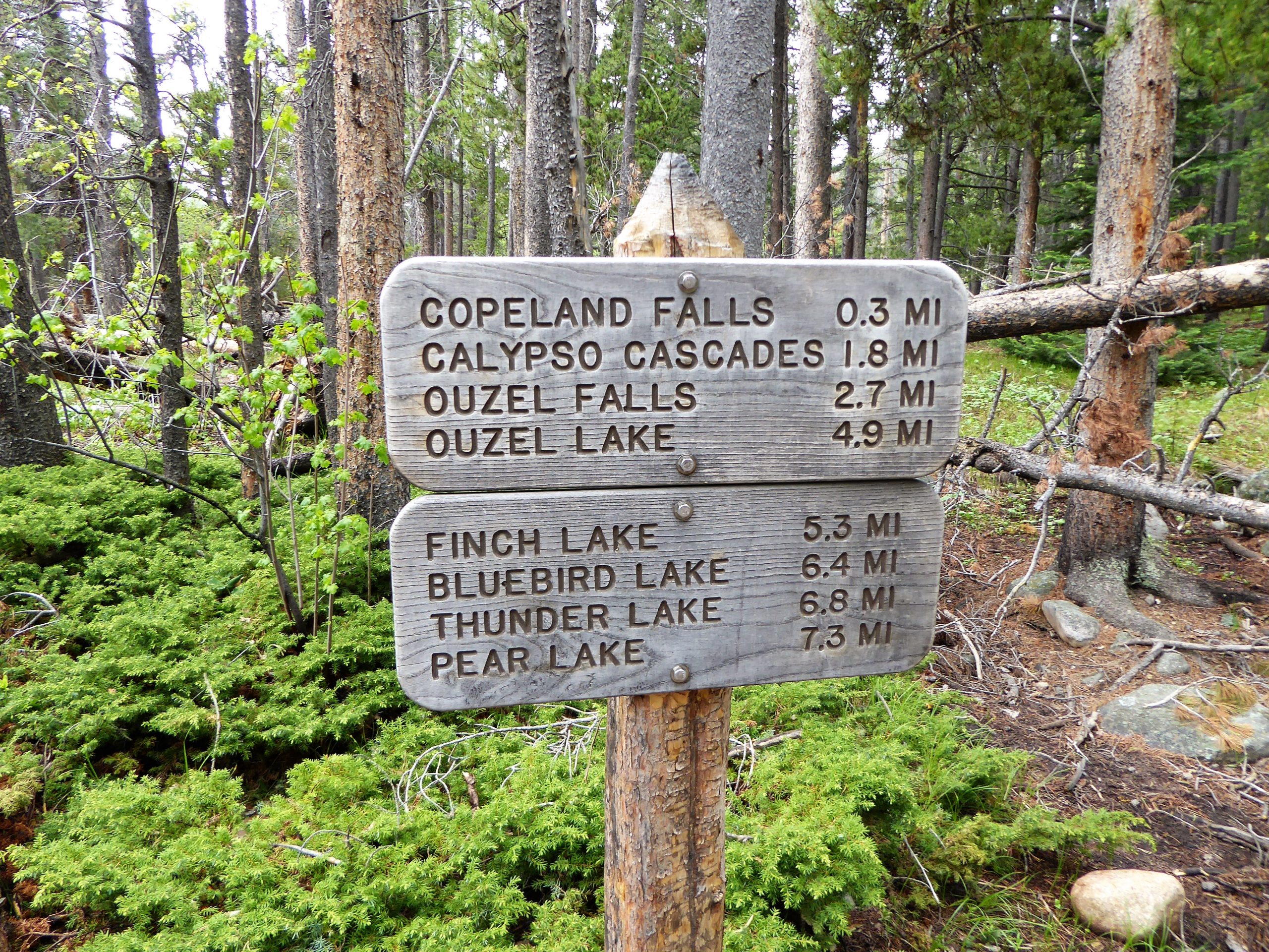 Trail Marker at Wild Basin