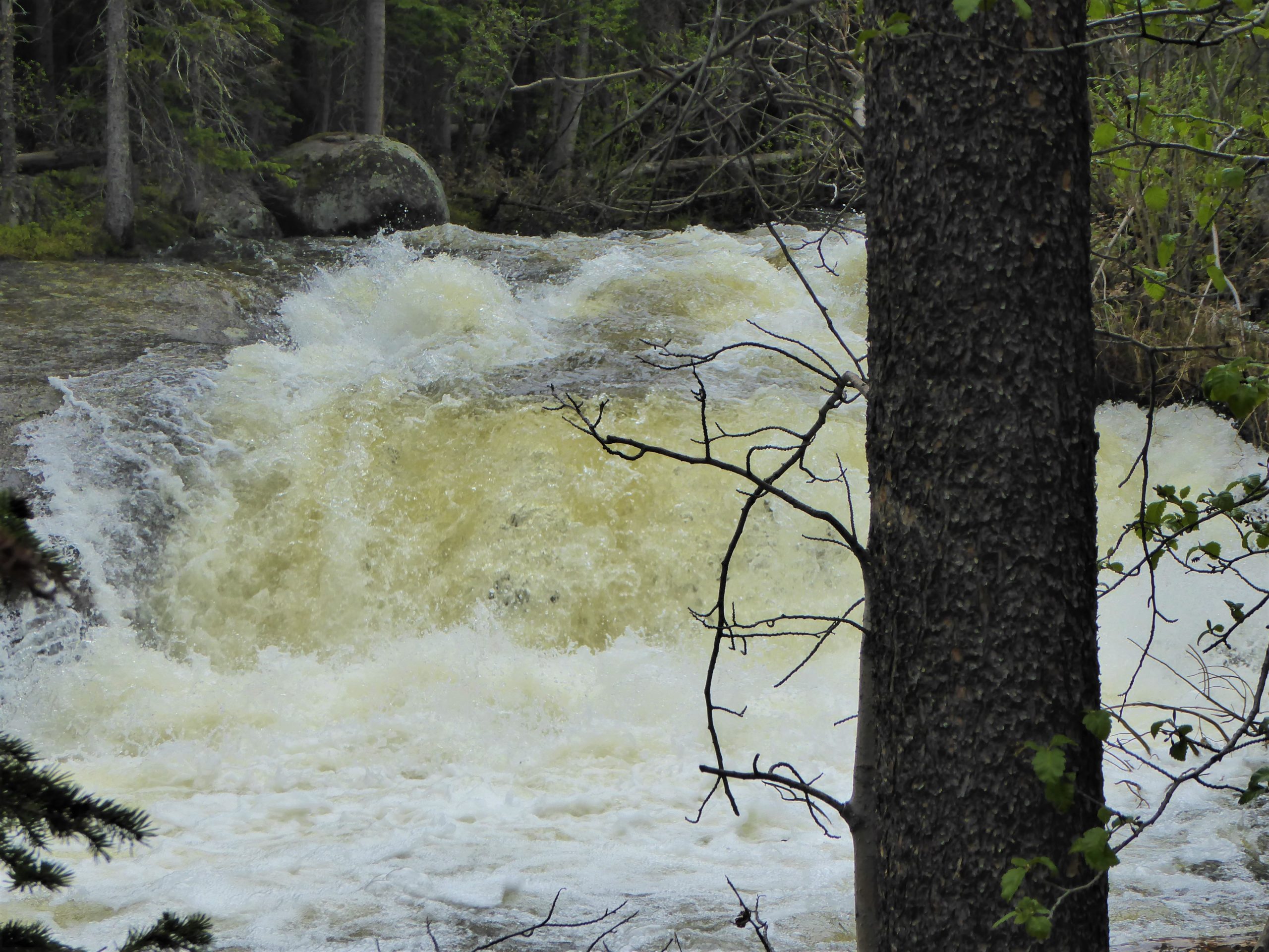 Copeland Falls