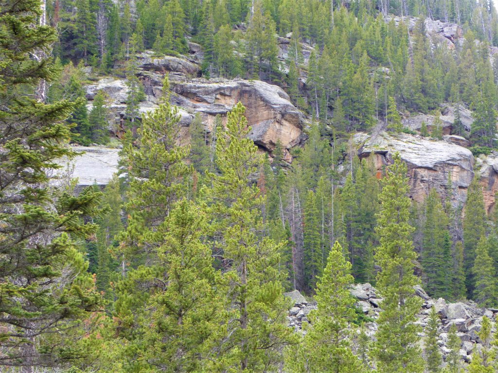 Boulders at Rocky Mountain National Park