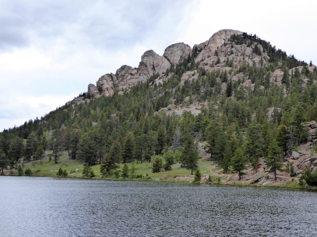 Western Tiger Salamanders at Lily Lake in Rocky Mountain National Park -  Rocky Mountain Day Hikes