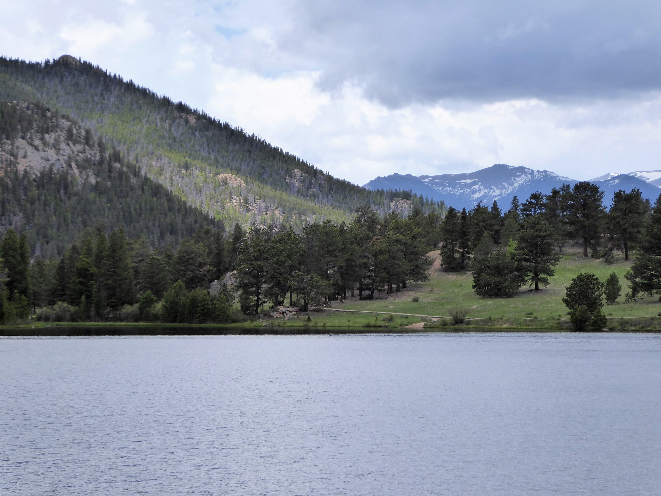 Lily Lake at Rocky Mountain National Park