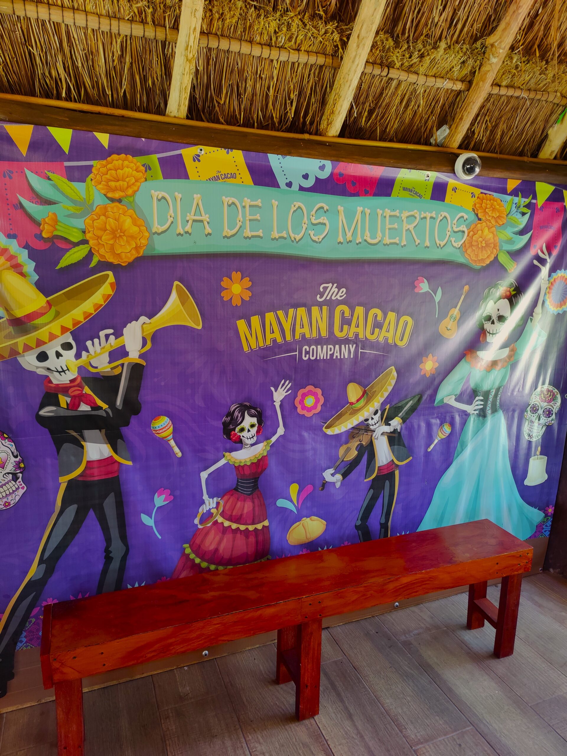 Dia de Los Muertos in Cozumel, Mexico