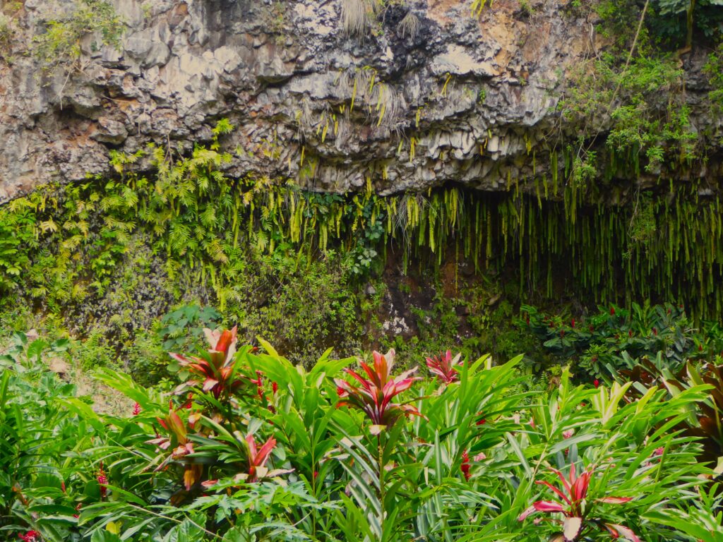 Fern Grotto Cave Kauai