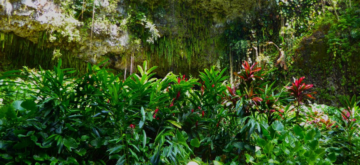 What to See at Kauai’s Fern Grotto
