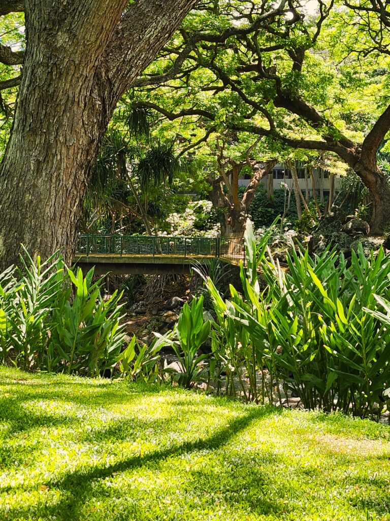 Bridge at Oahu Botanical Garden