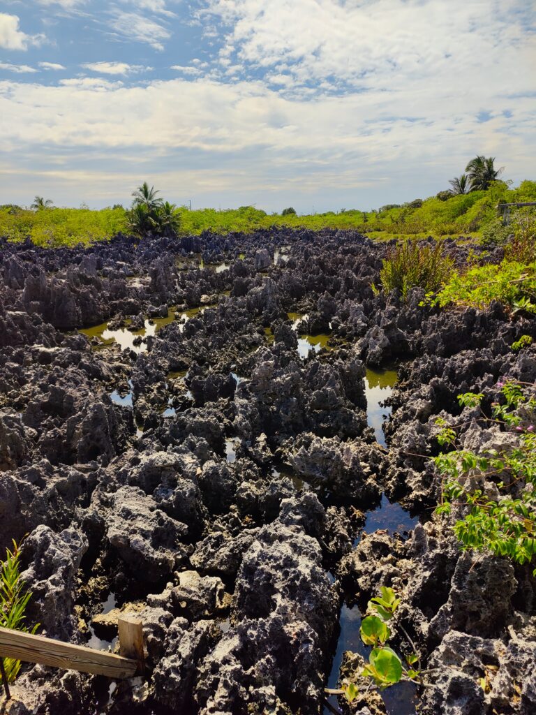 Landscape of Hell, Grand Cayman