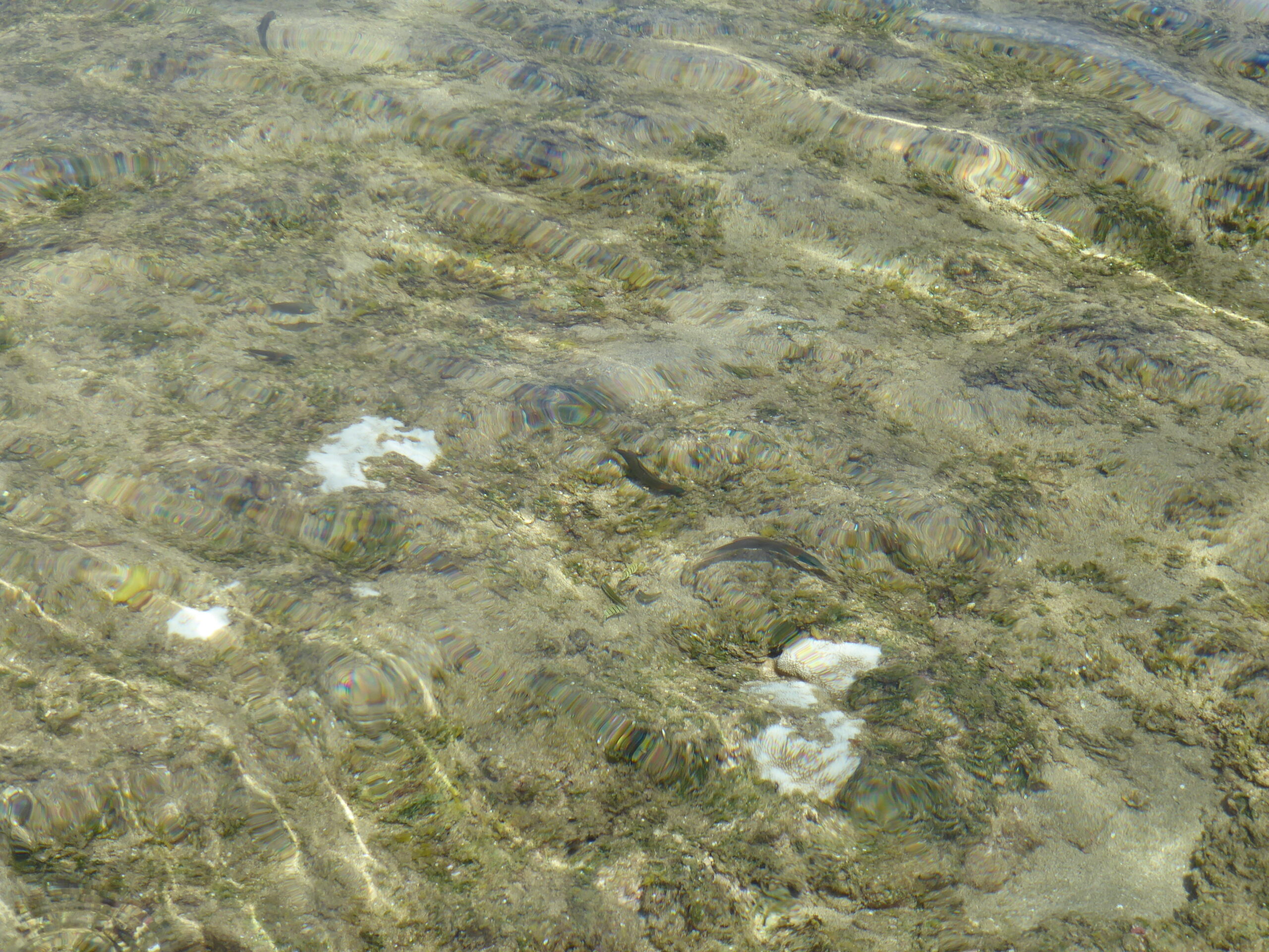 Clear water at Ke'e Beach