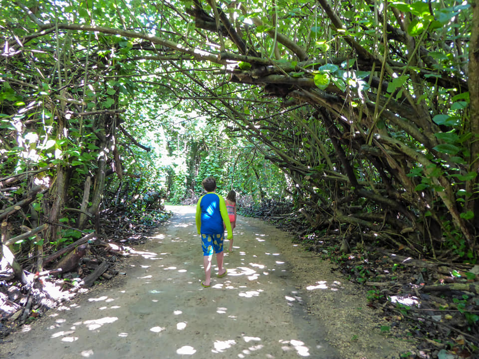 Jungle Pathway to Ke'e Beach