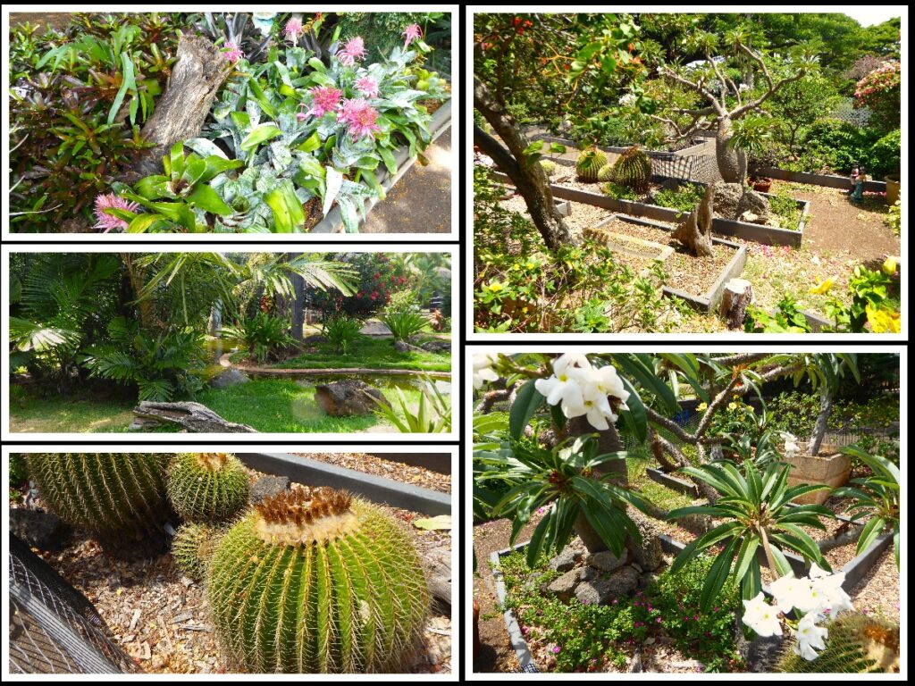 Zoo floral features