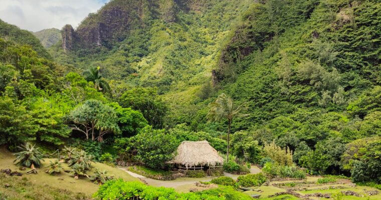 See Native Hawaiian Plants at Limahuli Botanical Garden