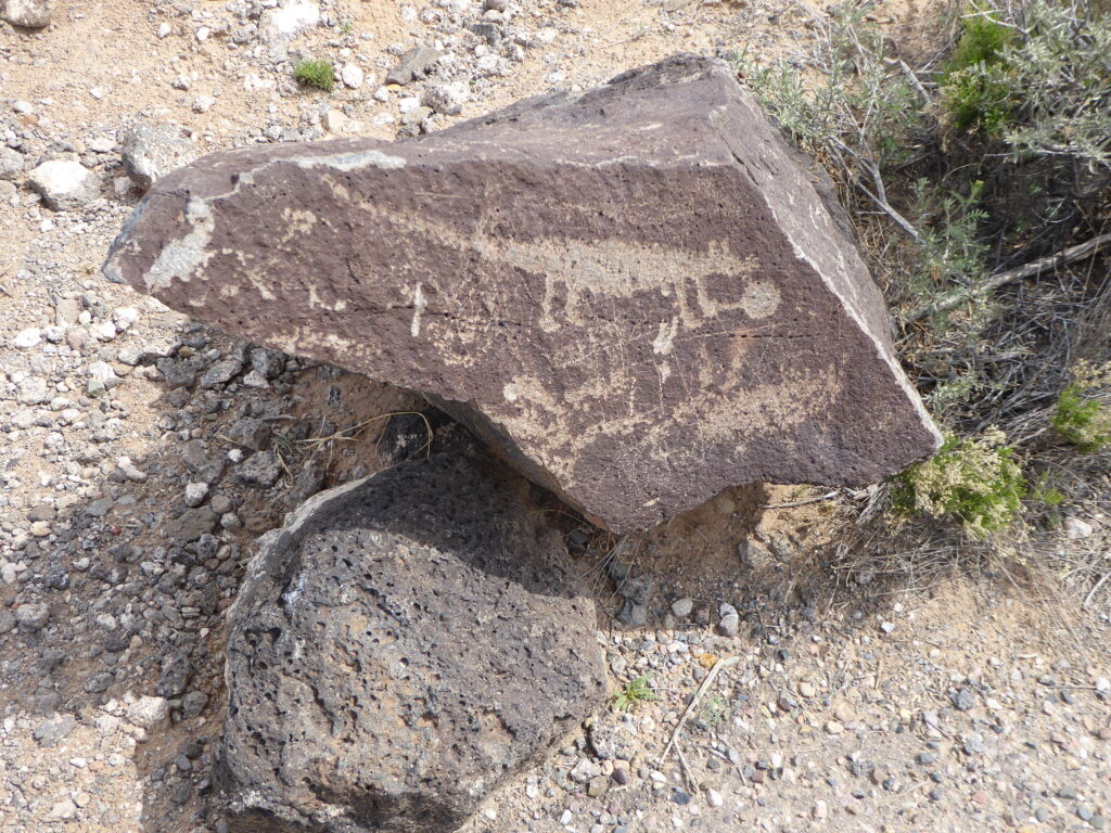 New Mexico Petroglyph