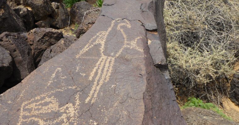 What to Do at Petroglyph National Monument