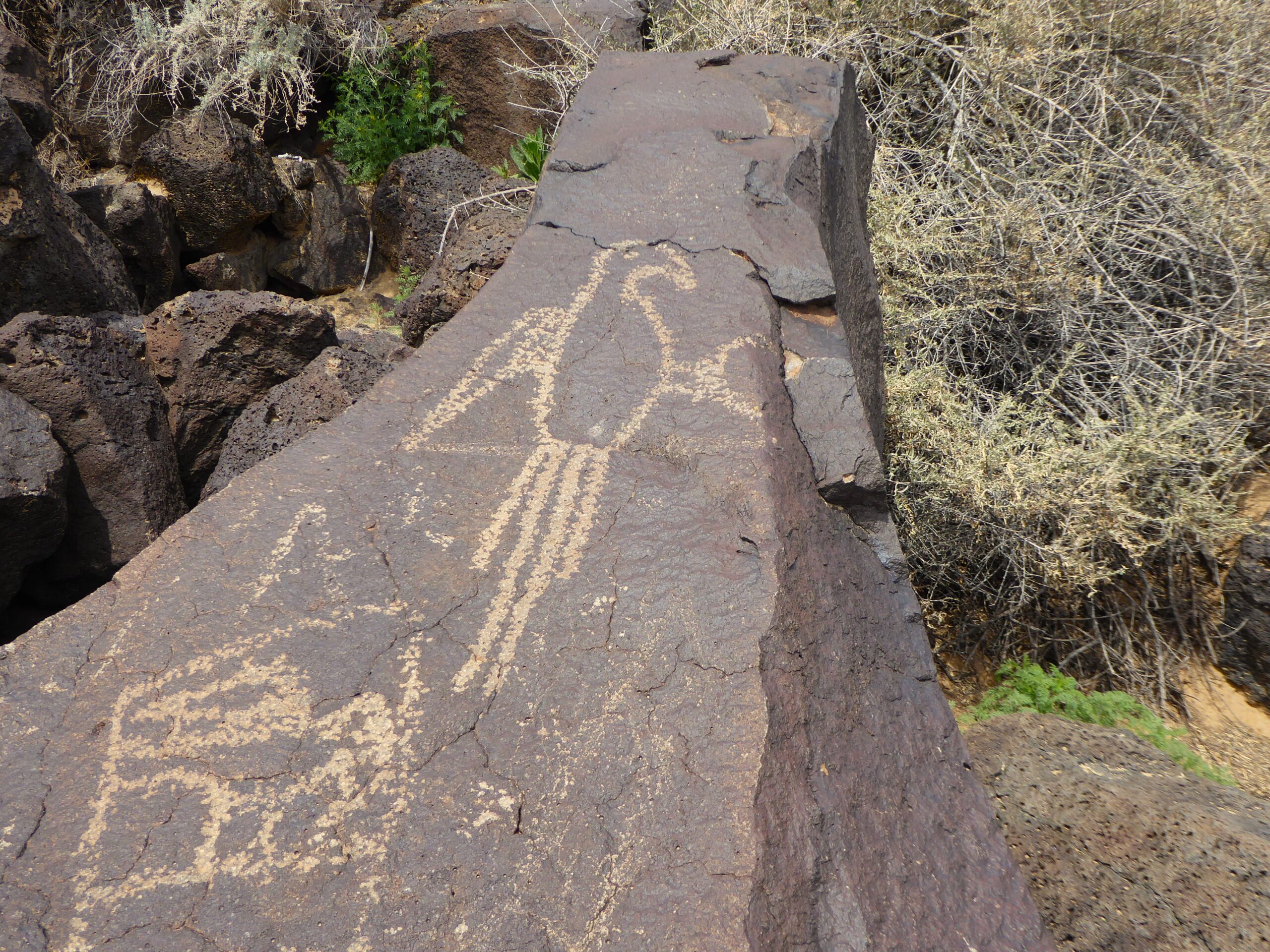 What to Do at Petroglyph National Monument