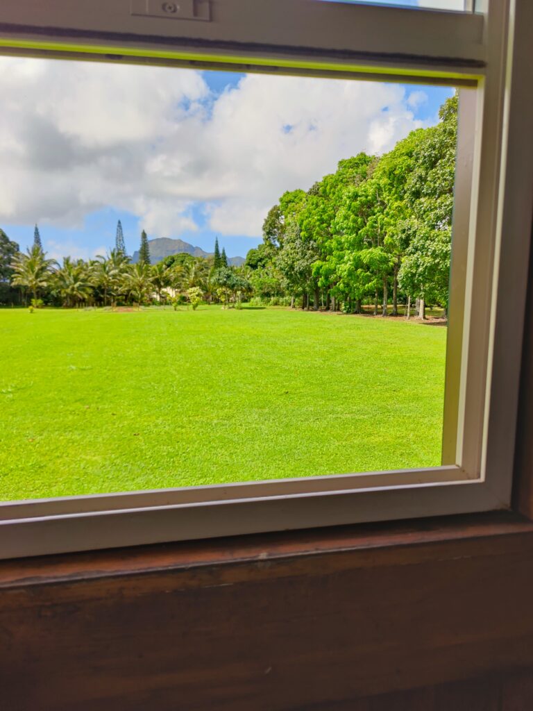 Kauai train view